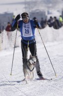 Lenk 2013